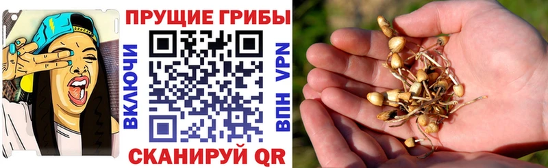 Псилоцибиновые грибы мухоморы купить МЕГА зеркало Пикалёво
